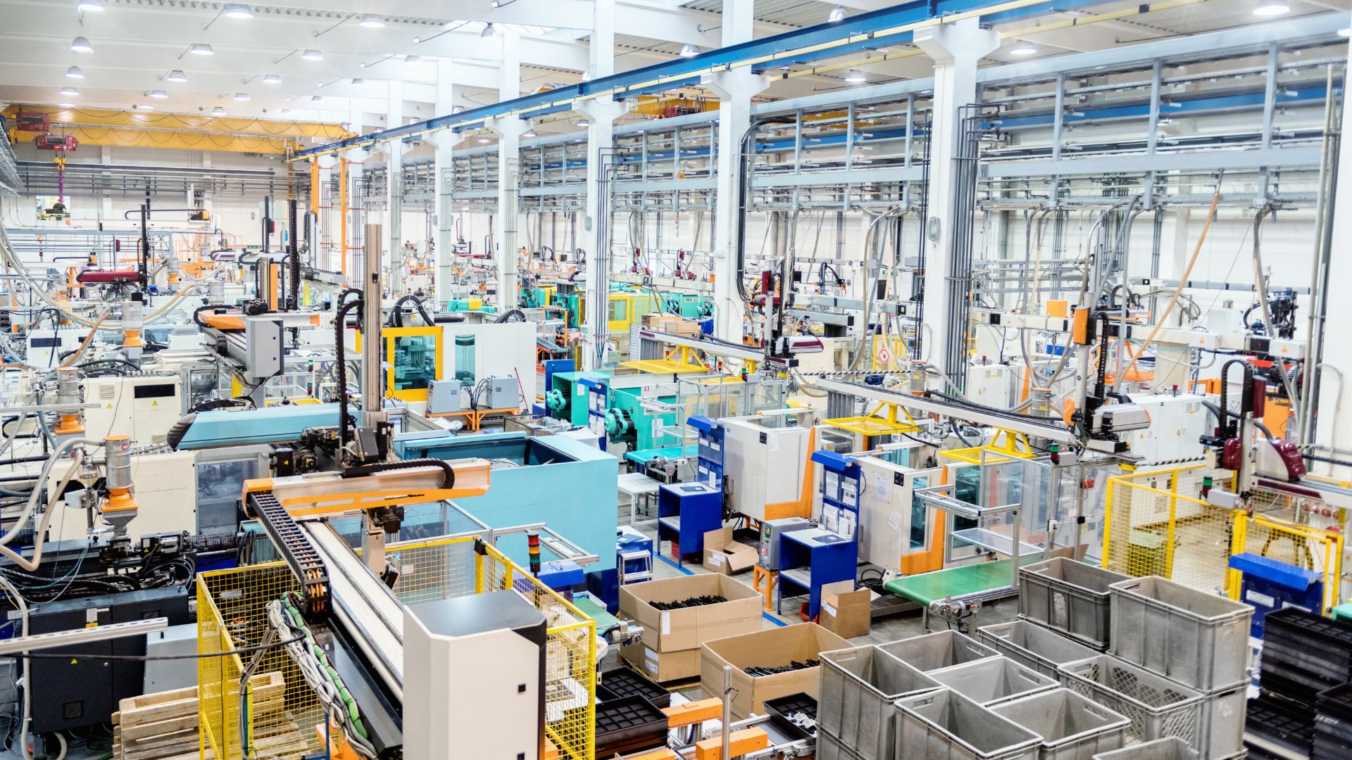 Kasza gryczana i jaglana. Wybierz najlepsze linie do ich profesjonalnej produkcji