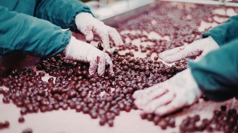 Jak poprawić jakość produkcji dzięki sortowaniu optycznemu?